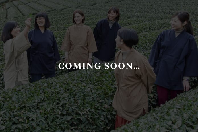 静岡茶ガールプロジェクト サムネイル