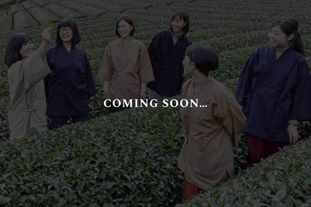 静岡茶ガールプロジェクト COMING SOON…
